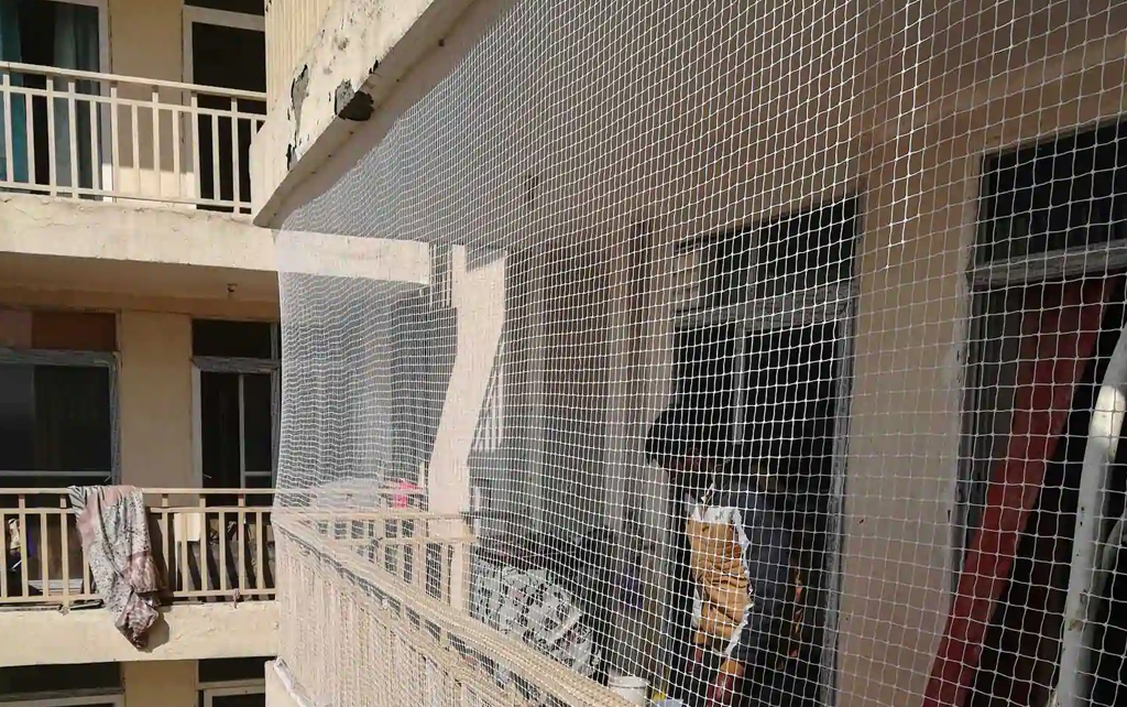 Bird Netting Services